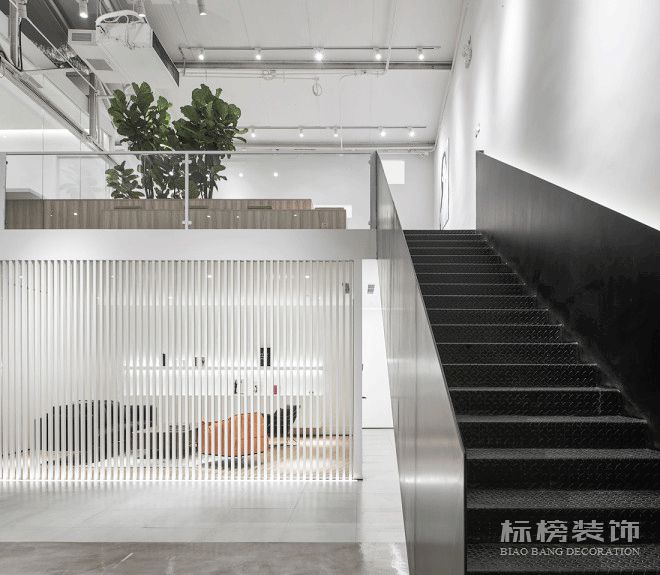 辦公室植物擺放植物有哪些，怎么擺放比較好？